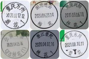 亚洲 久久久久久一二三区免费,久久久久久一二三区，探寻多元文化魅力